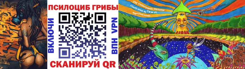 купить наркотики сайты  Мамоново  Галлюциногенные грибы мицелий 